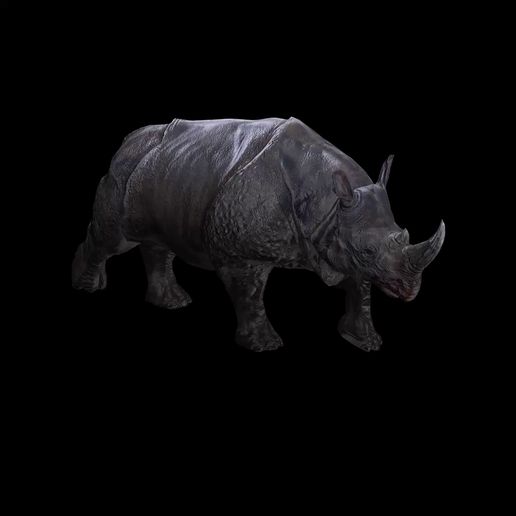 00.mp4 Rhino Walk ANIMATED
