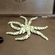 ezgif.com-gif-maker-2.gif STL file Starfish with eight articulated arms・3D print design to download