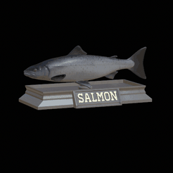 Salmon-model.gif Fichier STL statue de poisson saumon texture détaillée pour impression 3d・Modèle à imprimer en 3D à télécharger