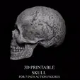 SKULL-GIF.gif 3D PRINTABLE PREDATOR ARCHAIC ACCESSORY PACK WEAPONS