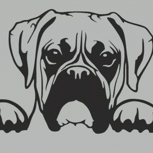 Boxxer.gif Dog (Pack) 2