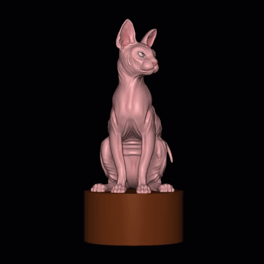 Sphynx or Sphinx cat