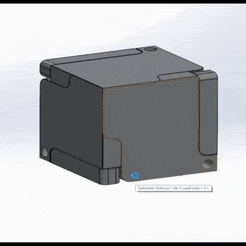 sorpresa.gif Descargar archivo STL Kinetic ring cube • Plan imprimible en 3D, ricardoagv11