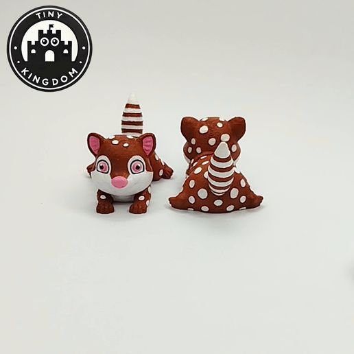 Flexi-Tiny-Quoll,-G1.mp4 Flexi Tiny Quoll