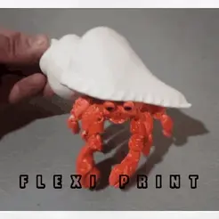 20210322_014515.gif Hermit crab (flexi, cute, semi realistic)