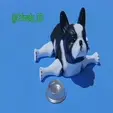 ezgif.com-gif-maker-subido.gif Articulated French Bulldog - FLEXI PRINT-IN-PLACE