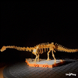 gif-diplo.gif Fichier 3D [Casse-tête 3Dino] Grand Musée des Dinosaures - Ensemble Premium・Idée pour impression 3D à télécharger, STAG-B