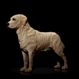 Labrador.gif Labrador Retriever- STL & VRML COLOR FORMAT !- DOG BREED - SITTING POSE - 3D PRINT MODEL
