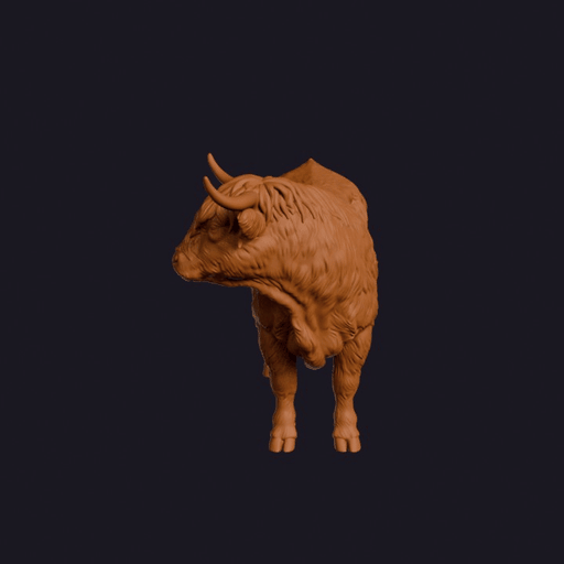 Realistic Highland Cattle Looking Side Animal Sculpture