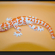 lagartiga_flexi1.gif gecko_flexi_multicolor_printinplace