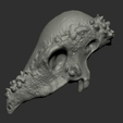 gif bestand.gif Pachycephalosaurus Skull