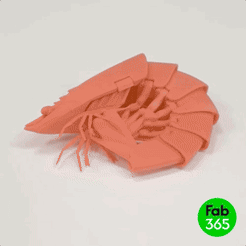 shrimp_01.gif Archivo 3D Gambas flexibles・Diseño imprimible en 3D para descargar
