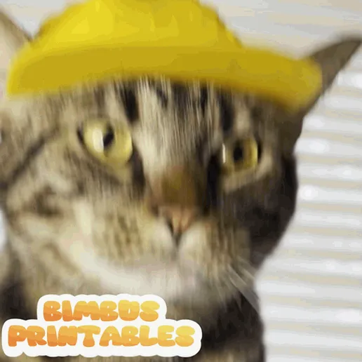 Untitled-video-Made-with-Clipchamp-32.gif Baseball Cat Cap