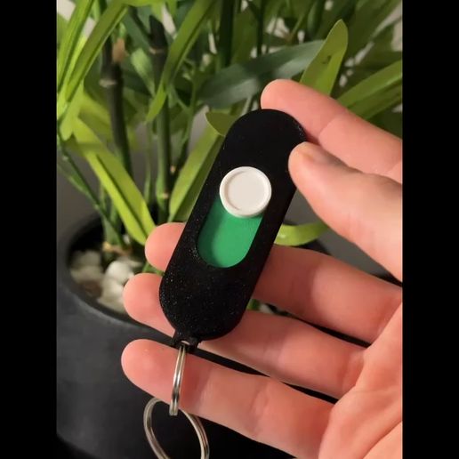 Showcase-Video.mp4 Switch Fidget Keychain