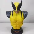 ezgif.com-video-to-gif-1.gif Wolverine