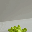 tortuga.gif Файл STL Черепаха Аллигатор Flexi・Шаблон для загрузки и 3D-печати