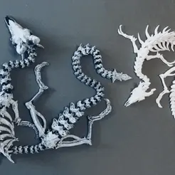 InShot_20220207_161449021-online-video-cutter.com-1.gif STL file Articulated dragon skeleton・Template to download and 3D print, MarckR