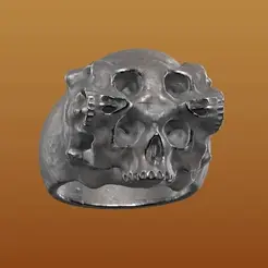 Video_1686859978.gif Skull Conjoined Ring