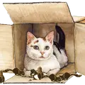 Catherine64