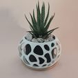voronoi-sphere-gif.gif Small Modern Plant Vase and Candle Holder (voronoi style)