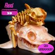 Flexiskeletonshark.mp4 Flexi Skeleton Shark