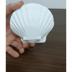 shell-soap-dish.gif STL file Shell soap dish・3D print object to download