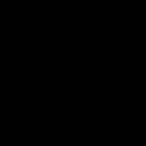 FIDGET Spinner SPYder, Halloween Spider, Articulating Wiggle Pet