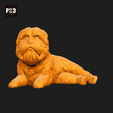 007-Affenpinscher_Pose_07.gif Affenpinscher Dog 3D Print Model Pose 07