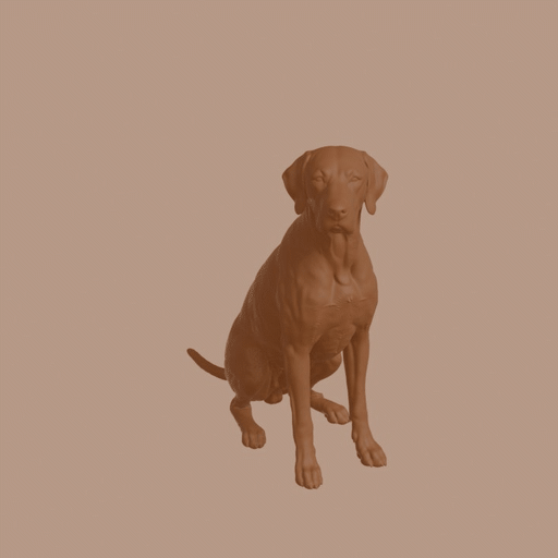 Old Danish Pointer Dog in Sitting Pose