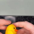 IMG_1724.gif Mörderische Ente