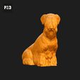 426-Cesky_Terrier_Pose_06.gif Cesky Terrier Dog 3D Print Model Pose 06
