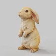Bunny-Rabbit-Standing-pose.gif Bunny Rabbit Standing Pose- TOOLS ,GARDENING Series