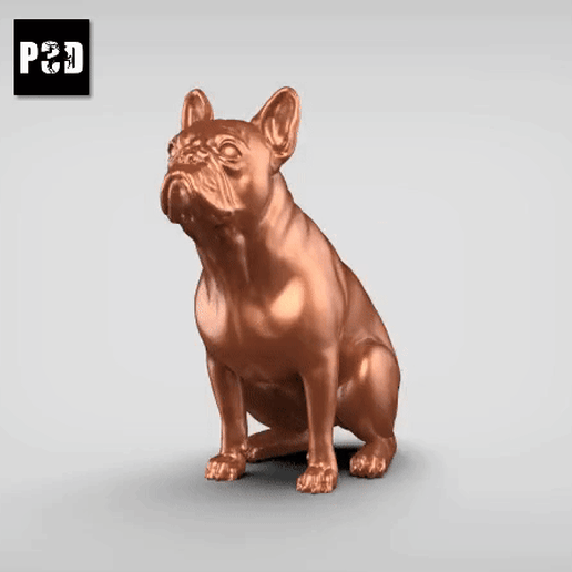 French Buldog V2 3D model