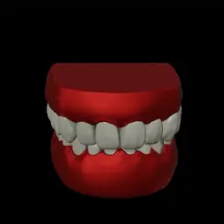 Ld STL file Dental Teeth training Model・3D printable design to download