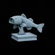 render-2.gif Largemouth Bass / Micropterus salmoides fish in motion trophy statue detailed texture for 3d printing