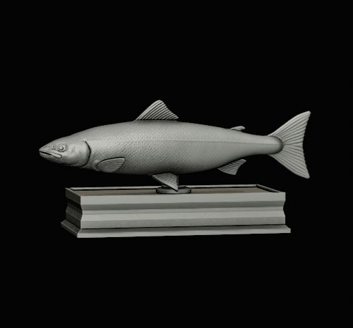 Salmon-fish-statue-box-2.gif fish sculpture of a Atlantic salmon / salmo salar with storage space / for 3d printing