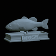 Bass-statue-5.gif fish Largemouth Bass / Micropterus salmoides statue detailed texture for 3d printing