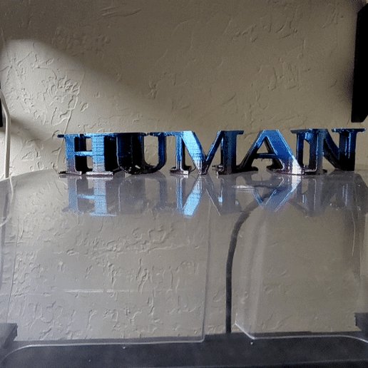 Human DNA Flip Text 3D model
