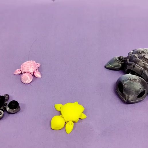 turtle-vid.mp4 Отпечаток черепахи на месте