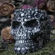 20230321_090838.gif Catacombs Skull Bowl, by Pretzel Prints, skull and bones home decor