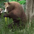tinywow_Brown-Bear-VIDEOS_32044351.gif Bear DOWNLOAD Bear 3d model - animated for blender-fbx-unity-maya-unreal-c4d-3ds max - 3D printing Bear Bear