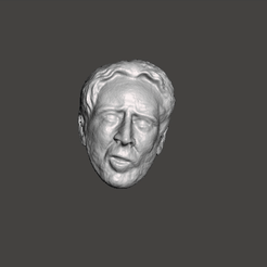 GIF.gif Descargar archivo STL cabeza de nicolas cage para figuras personalizadas .stl .obj • Plan para la impresión en 3D, vadi