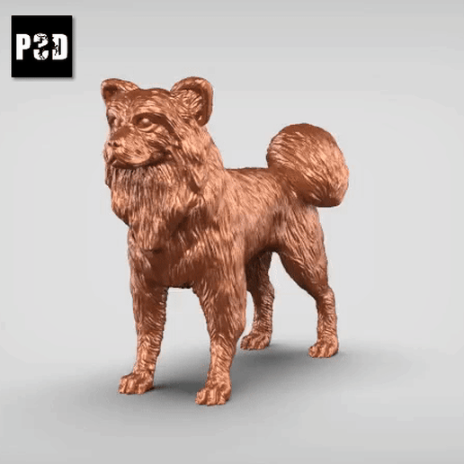 Papillon V3 3D model