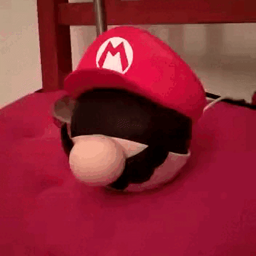 Mario Bros - Alexa Echo Dot 4 Stand 3D model