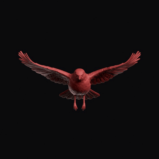 Flying Blackbird
