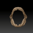 AnyConv.com__SHARK2.gif Shark Teeth 3D Print Model: Realistic and Detailed Design