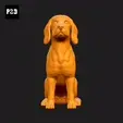 157-Beagle_Pose_04.gif Beagle Dog 3D Print Model Pose 04