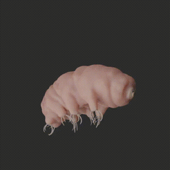 Tardigrade.gif 3D file Tardigrade Water Bear Animated・3D print object to download