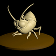 Brille_frame46.gif Aphid with hat - Grounded