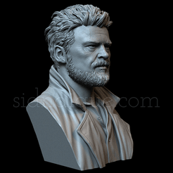 KarlUrban.gif 3D file Karl Urban as Billy Butcher・3D printer model to download, sidnaique